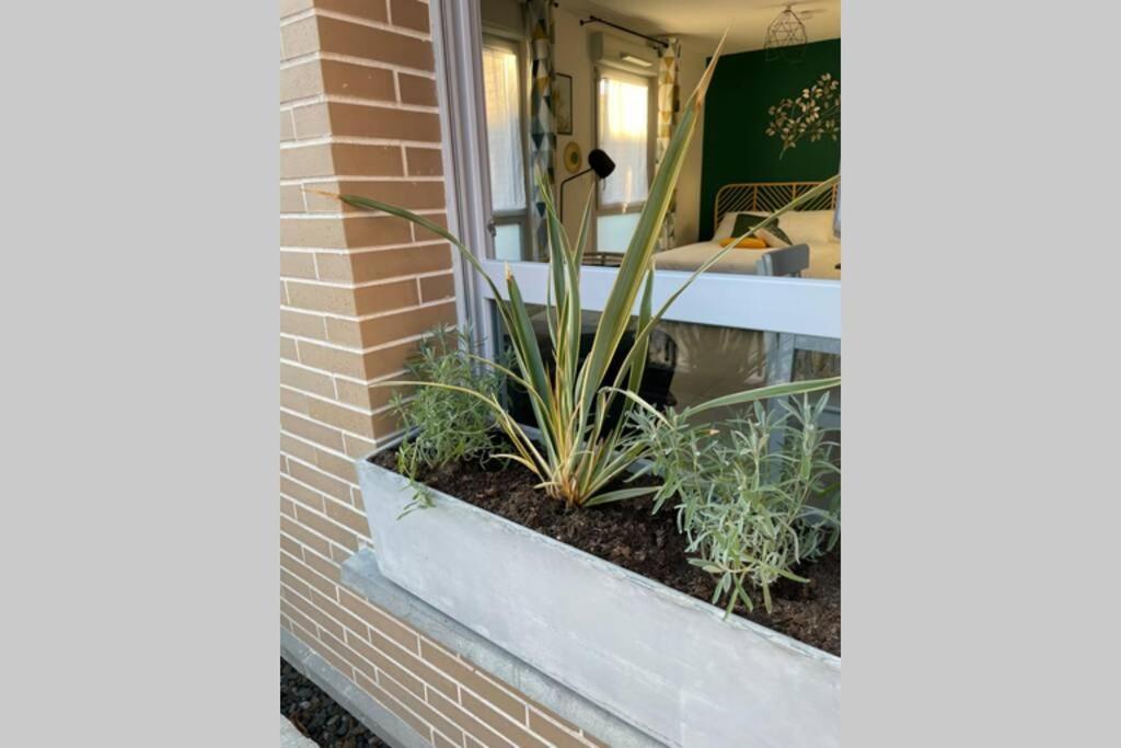 Appartement Minimes, Studio Cosy Tout Confort, Wifi, Parking à Toulouse Extérieur photo